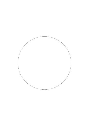 258391
