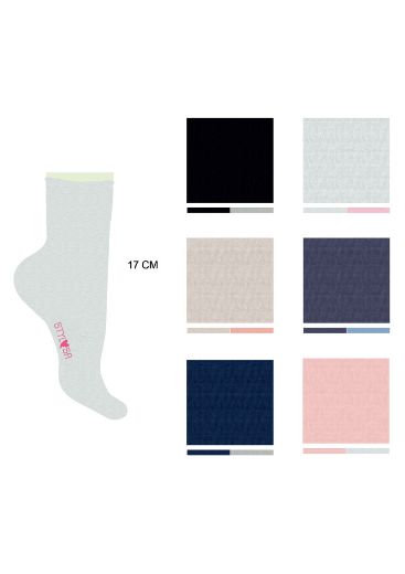 291557
